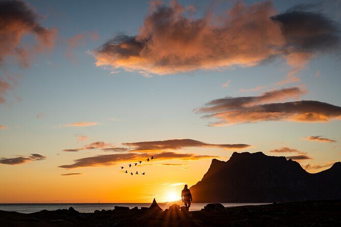 Tour of the authentic fjords of Kvaløya - From Tromsø to Kvaløya: what your day actually looks like