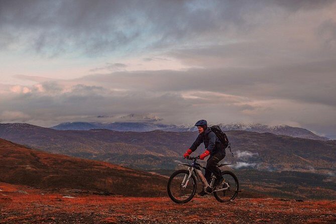 Trail challenge with electric mountainbike - Descent Details: The Narrow Path Challenge and the Shift to Forest Roads