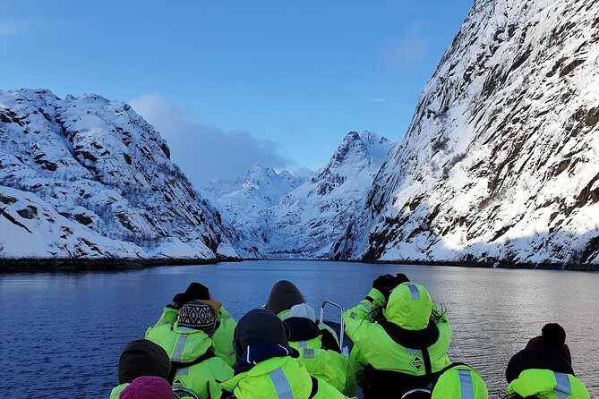 Trollfjord and Sea Eagle Safari Tour from Svolvaer - What You’ll Love About the Trollfjord and Sea Eagle Safari