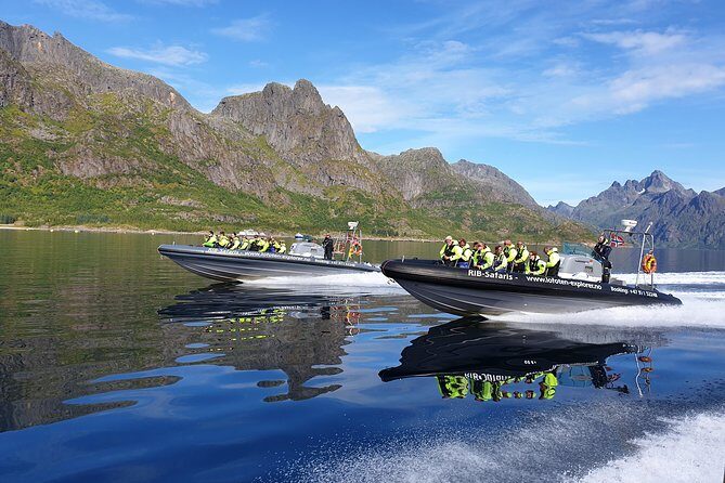 Trollfjord and Sea Eagle Safari Tour from Svolvaer - Price and Value: What $139.81 Gets You