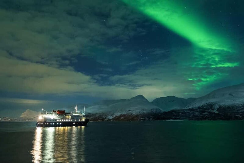 Tromsø: 24hr Northern Lights & Whale Watching Cruise - The deck is open all night: your real aurora strategy