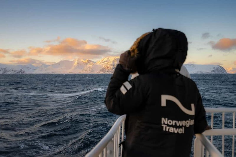 Tromsø: 24hr Northern Lights & Whale Watching Cruise - Overnight sailing: why going 24 hours beats quick tours