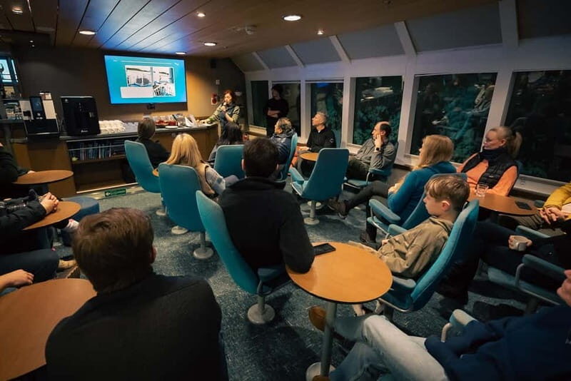 Tromsø: 24hr Northern Lights & Whale Watching Cruise - Whale watching in the morning: longer time, better odds