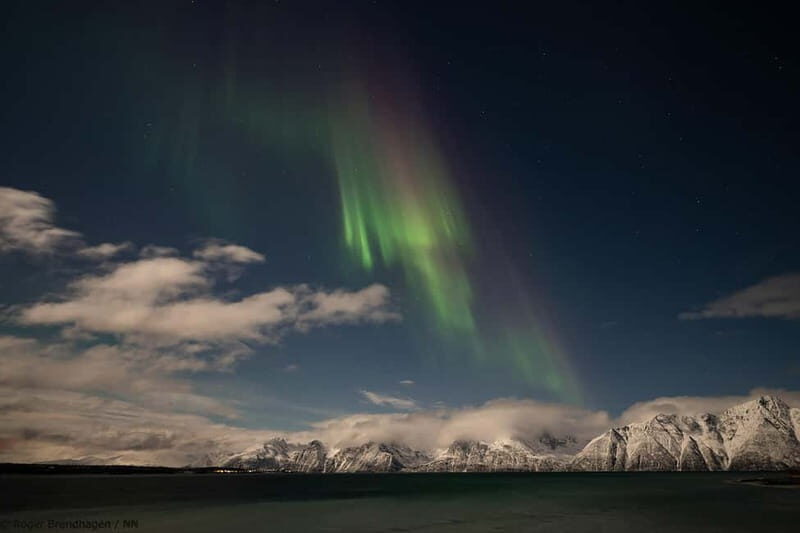 Tromsø: 24hr Northern Lights & Whale Watching Cruise - Northern Lights lecture at night: science, stories, and a flexible schedule