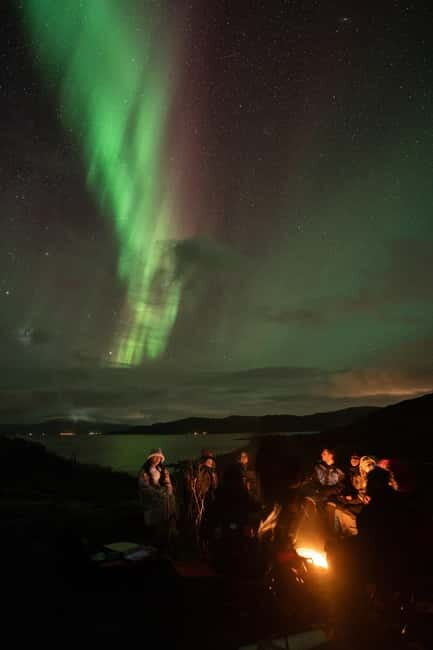 Tromsø: Adult Only Aurora hunt with Citizen Science - Why This Adult-Only Aurora Hunt Feels Focused in Tromsø