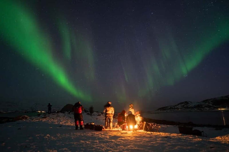 Tromsø: Adult Only Aurora hunt with Citizen Science - Escaping Light Pollution: The Real Secret Is the Drive