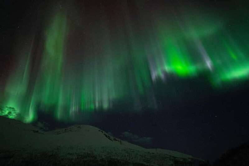 Tromsø: Adult Only Aurora hunt with Citizen Science - Gear That Keeps You Outside Longer (Thermal Suits Included)