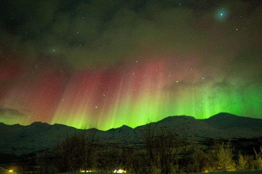Tromsø Adventurous Northern Lights Small-Group - Who this tour suits best (and who should think twice)