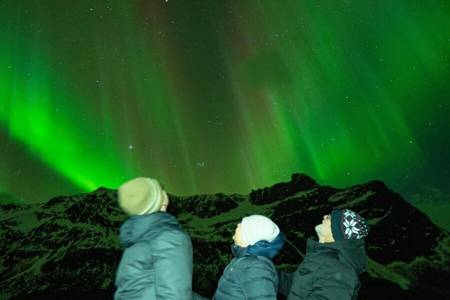 Tromsø Adventurous Northern Lights Small-Group - Why this Tromsø aurora hunt feels different