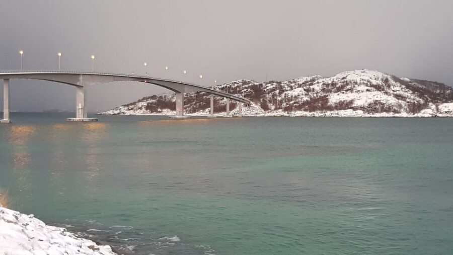 Tromso: All-Inclusive Arctic Fjords and Sommarøy Scenic Tour - The Mercedes Sprinter ride: comfort, stops, and guide storytelling