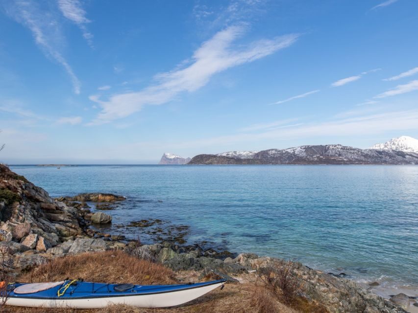 Tromso: All-Inclusive Arctic Fjords and Sommarøy Scenic Tour - Kvaløya day segment: fjord views, beaches, and wildlife chances