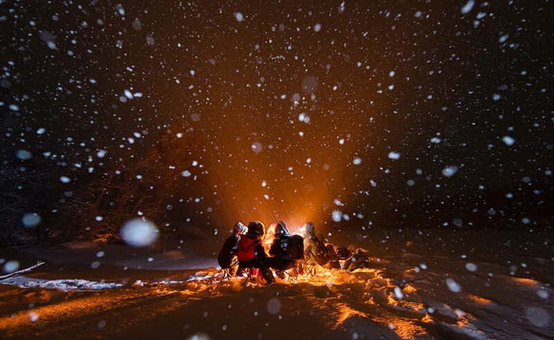 Tromsø: All inclusive Aurora Hunt with photos, food & drinks - Citizen science in the Arctic: doing more than sightseeing