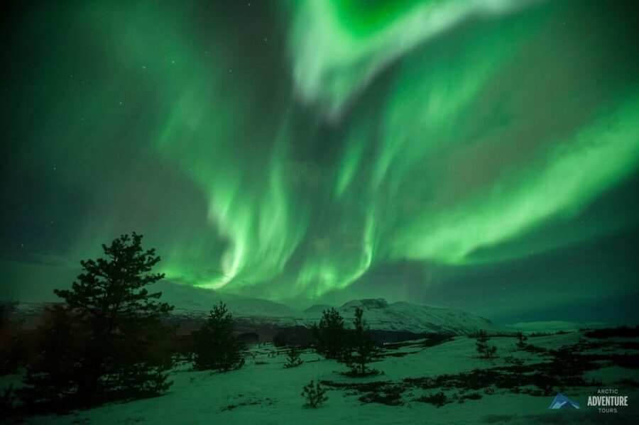 Tromsø: All-Inclusive Northern Lights Hunt - Price and value: what $220 really buys you in Tromsø