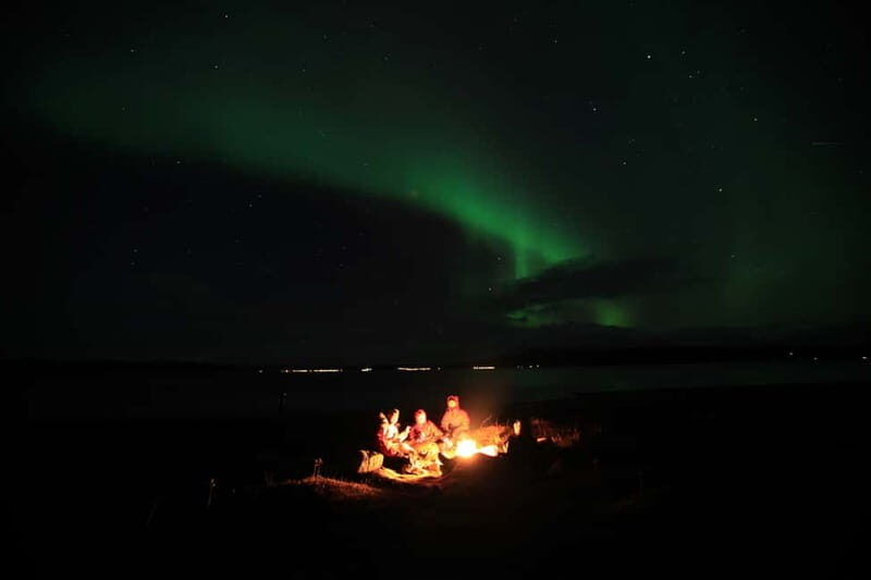 Tromsø: All-Inclusive Northern Lights Hunt - The heated Mercedes minibuss keeps the night from feeling like a punishment