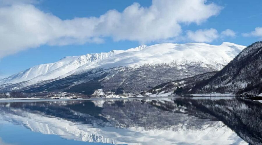 Tromsø: Arctic Fjord Cruise & Fishing Experience - Key Things to Know Before You Go