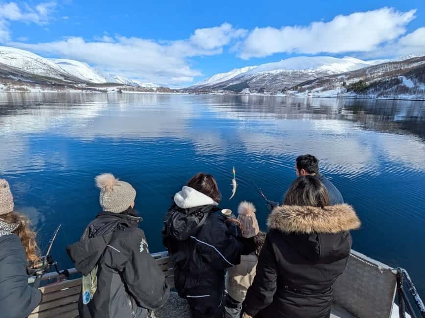Tromsø: Arctic Fjord Cruise & Fishing Experience - Entering Tromsø’s Winter Fjords Without the Crowds
