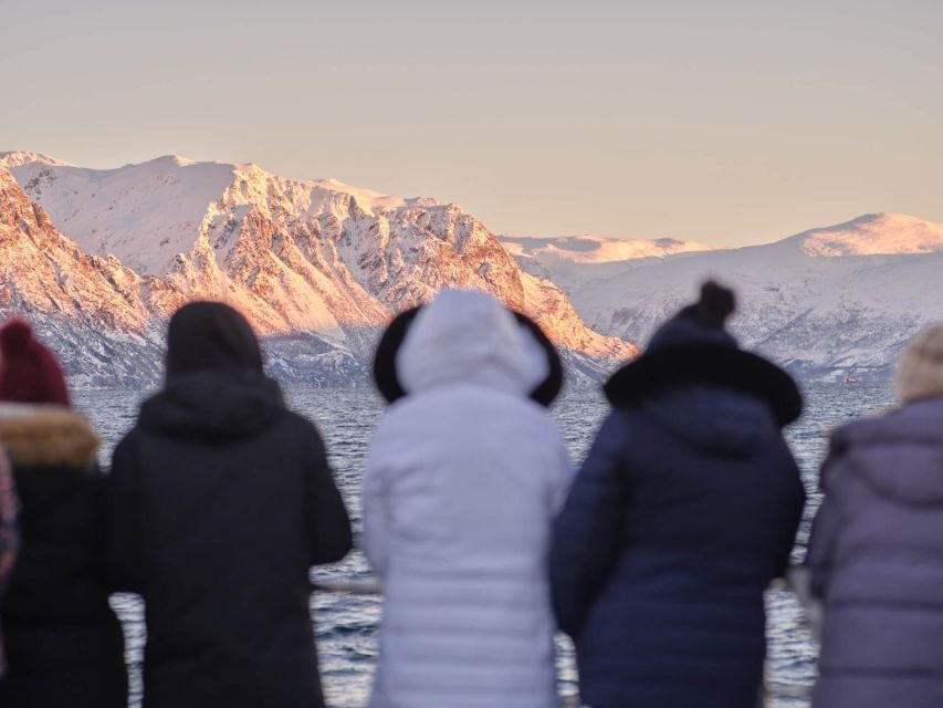 Tromsø: Arctic Fjord Cruise in Polar Landscapes - FAQ