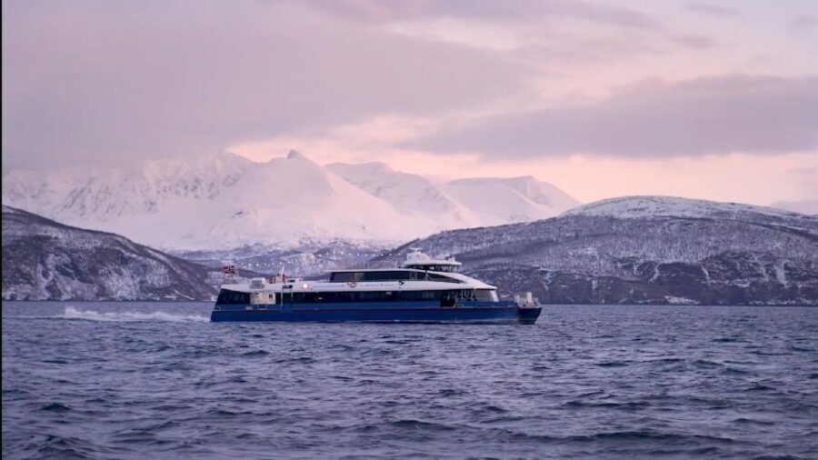 Tromsø: Arctic Fjord Cruise in Polar Landscapes - Should you book this Tromsø Arctic Fjord Cruise?