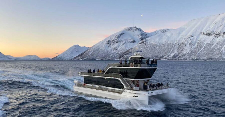 Tromsø: Arctic Fjord Cruise With Stop On Land At Fish Racks - Is this worth $125 per person? My value check