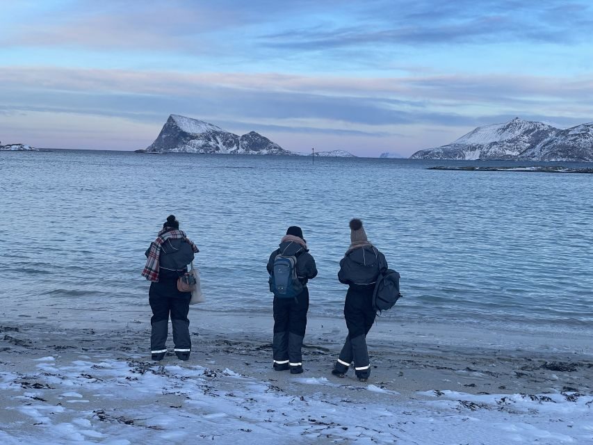 Tromsø: Arctic fjord sightseeing, Reindeer feeding and lunch - Meeting the Sámi reindeer herder: how calling and caring shape the day