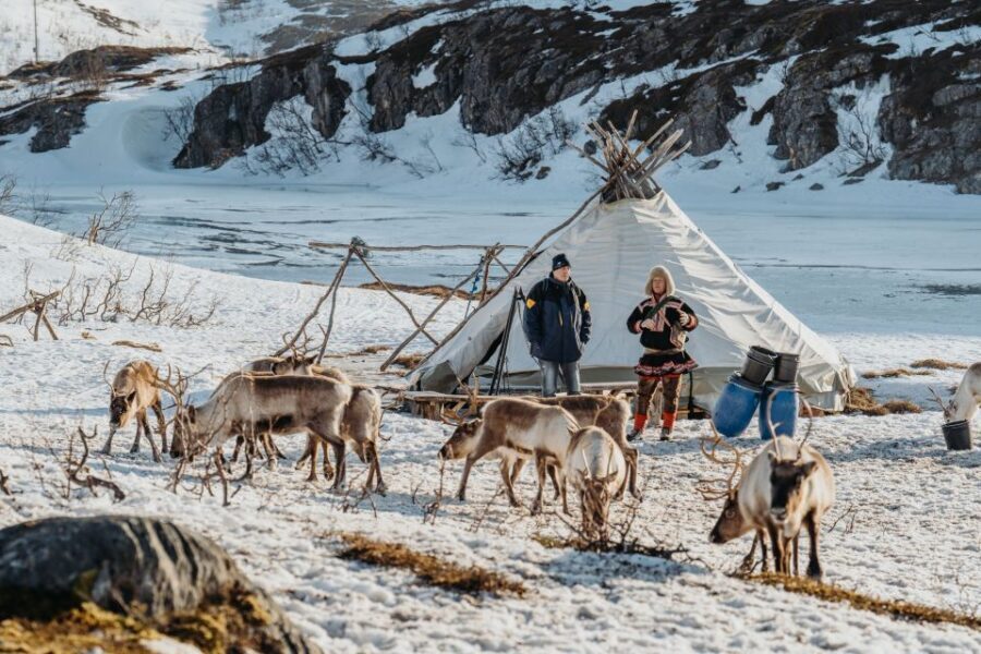 Tromsø: Arctic fjord sightseeing, Reindeer feeding and lunch - Joik by the fire in a lavvo: Sámi stories you can hear, not just read
