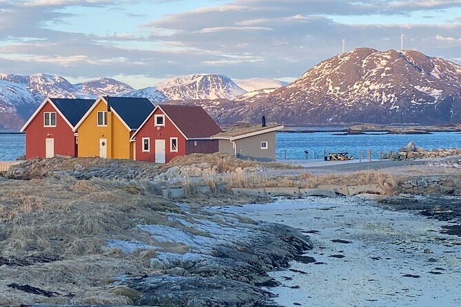 Tromsø Arctic Fjords Adventure Tour with Local Lunch - Key highlights you’ll actually feel on the trip