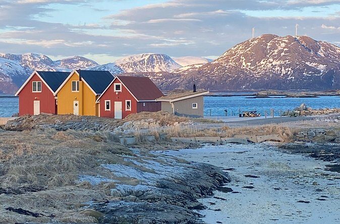Tromsø Arctic Fjords Adventure Tour with Local Lunch - Getting Back to Tromsø: Why the Return Still Feels Like Part of the Tour
