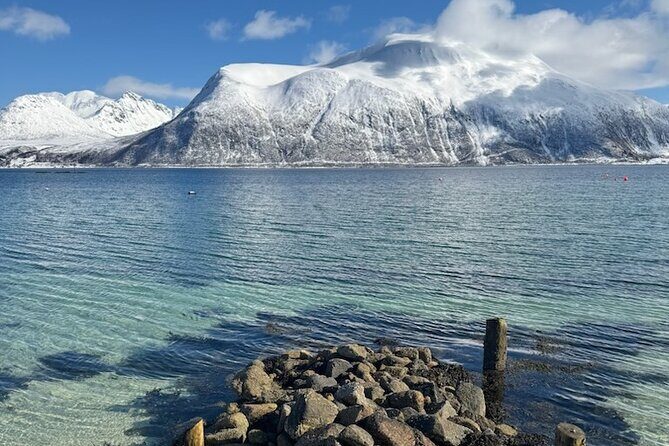 Tromsø Arctic Fjords Adventure Tour with Local Lunch - Guides and the Small-Group Advantage: When Photo Help Becomes the Best Part