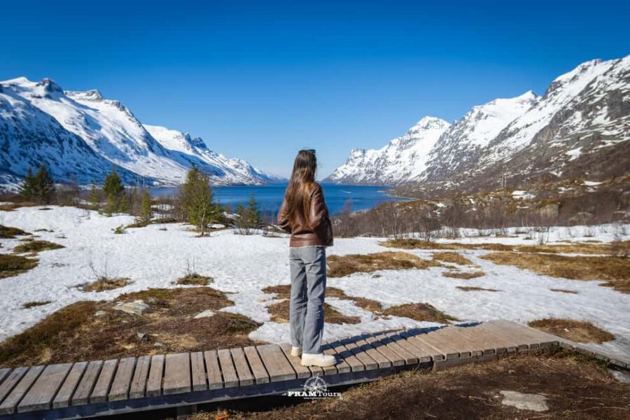 Tromsø: Arctic Fjords Tour to Kvaløya with Panoramic Lunch - From FRAMTours to the fjords: a van ride with real momentum