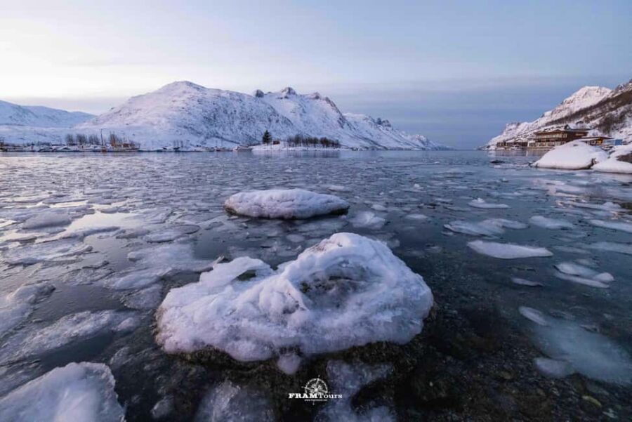 Tromsø: Arctic Fjords Tour to Kvaløya with Panoramic Lunch - Your guide as a photographer: turning cold light into better photos