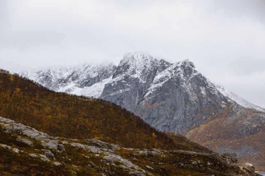Tromsø: Arctic Fjords Tour to Kvaløya with Panoramic Lunch - Group size, timing, and comfort: why the “small” part really counts