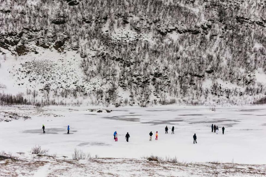 Tromsø: Arctic Landscape and Fjord Tour with Snacks - How This 5-Hour Tromsø Tour Feels in Winter (Less Driving, More Looking)