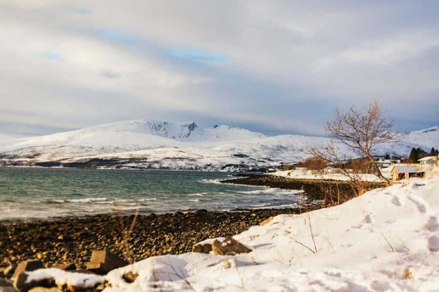 Tromsø: Arctic Landscape and Fjord Tour with Snacks - Price and Value: Is $114 for Five Hours Reasonable?