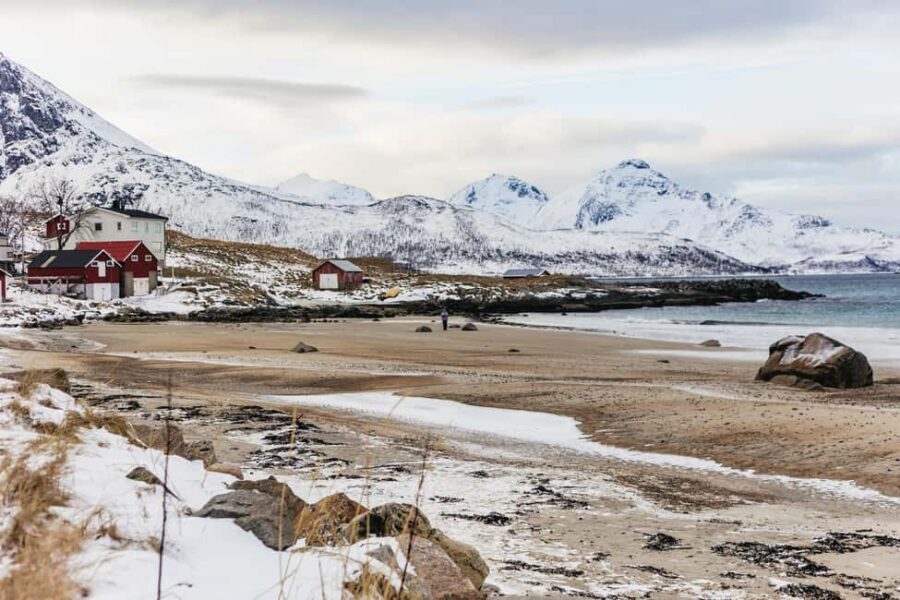 Tromsø: Arctic Landscape and Fjord Tour with Snacks - Tromsø City Centre Start: Meeting Point and What to Do Before You Leave