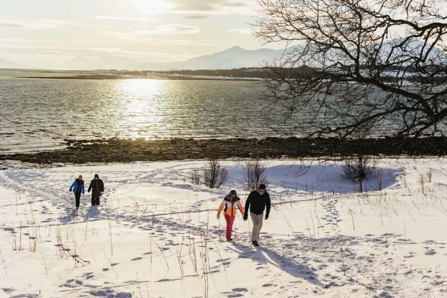 Tromsø: Arctic Landscape and Fjord Tour with Snacks - Wildlife Chances Along the Route: What You Can Expect (and What You Can’t)