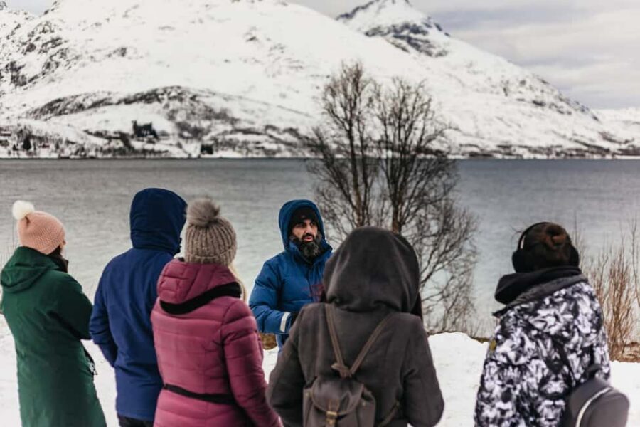 Tromsø: Arctic Landscape and Fjord Tour with Snacks - Photo Tips That Matter in Arctic Light (Not Just Generic Advice)