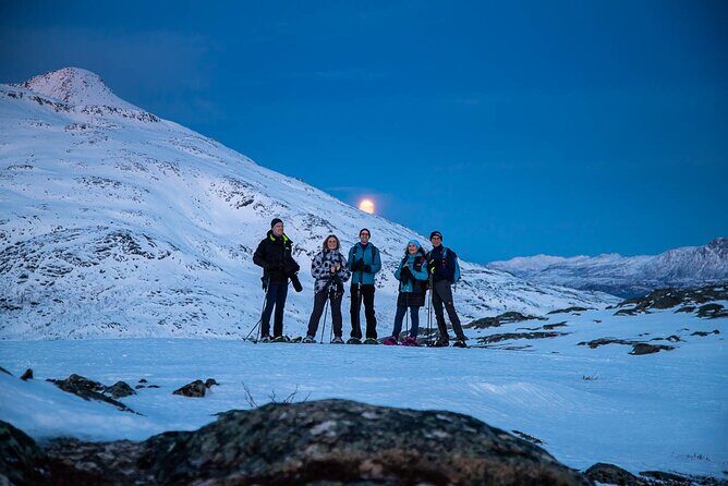 Tromsø: Arctic Landscapes Hiking / Snowshoeing Tour in the wild - Gear provided so you can travel lighter (and safer)