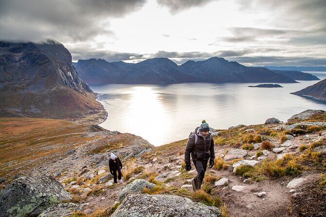 Tromsø: Arctic Landscapes Hiking / Snowshoeing Tour in the wild - Warm lunch breaks: soup, cookies, and hot drinks