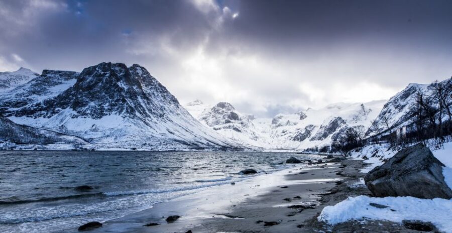 Tromsø: Arctic Nature Roadtrip with Photos & Scenic Lunch - Key things that make this Tromsø Arctic roadtrip worth your time