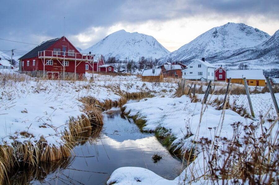 Tromsø: Arctic Nature Roadtrip with Photos & Scenic Lunch - What’s included, and why the $152 price can make sense
