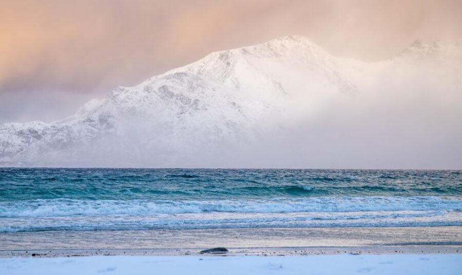 Tromsø: Arctic Nature Roadtrip with Photos & Scenic Lunch - Wildlife chances: reindeer, moose, and sea eagles (and what to do with uncertainty)