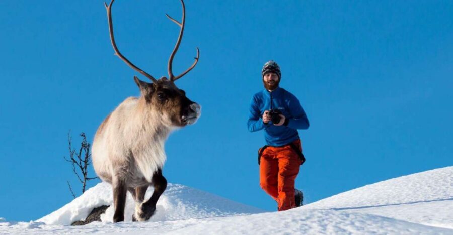 Tromsø: Arctic Nature Roadtrip with Photos & Scenic Lunch - Small group size (max 15): less crowding, more patience