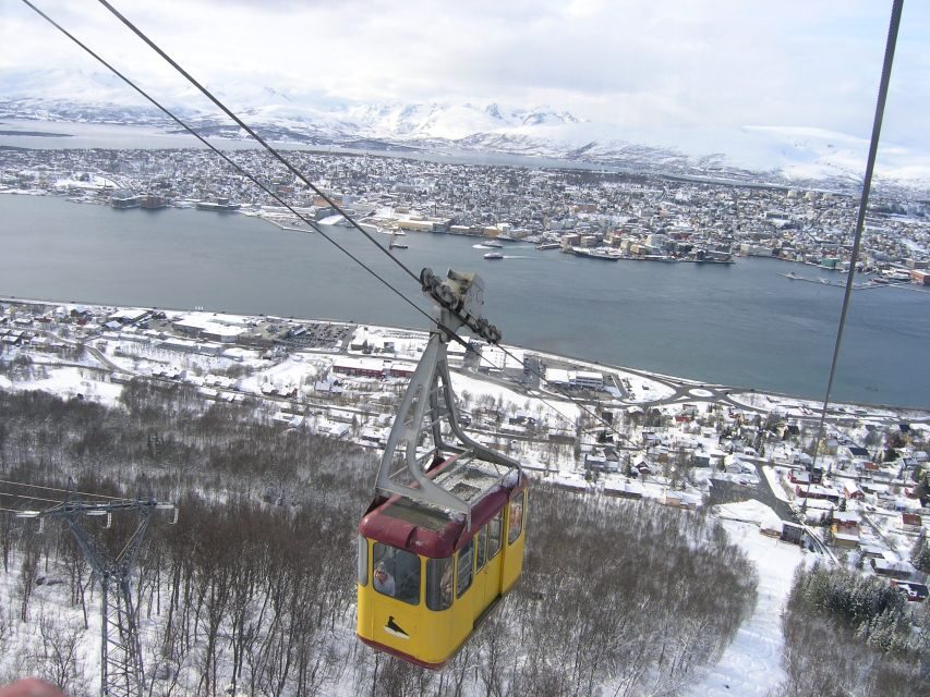 Tromsø: Arctic Panorama Fjellheisen Cable Car Ticket - A few lessons from real guide moments