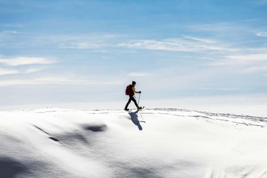 Tromsø: Arctic Sightseeing & Snowshoeing with picnic - Key highlights to know before you go