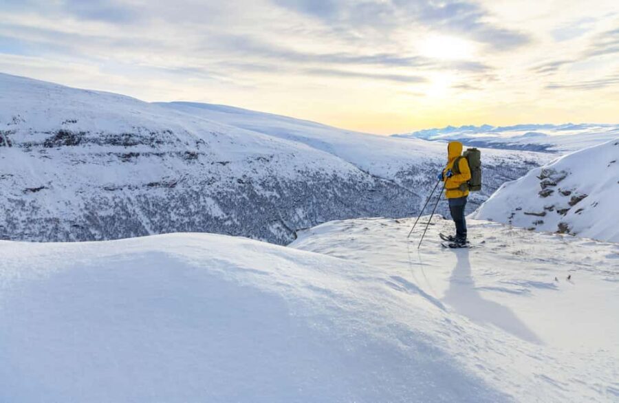 Tromsø: Arctic Sightseeing & Snowshoeing with picnic - The wilderness picnic: warm food, warm drinks, and a slow moment