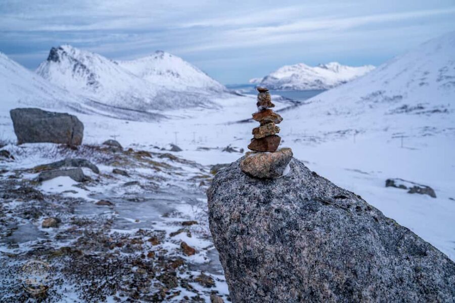 Tromsø: Arctic Sightseeing & Snowshoeing with picnic - Professional photos: more than phone snapshots