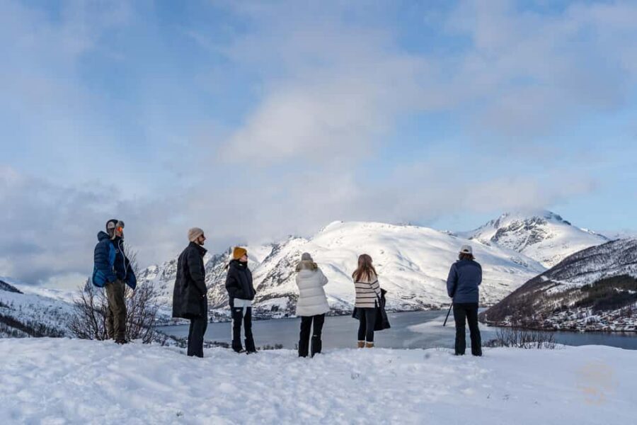 Tromsø: Arctic Sightseeing & Snowshoeing with picnic - Price and value: what you’re actually paying for