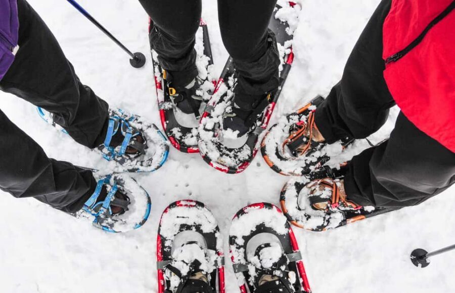 Tromsø: Arctic Sightseeing & Snowshoeing with picnic - How the snowshoe hike really works (2 hours off the beaten path)