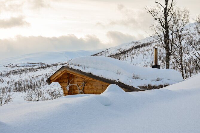 Tromsø: Arctic Snowshoeing Experience - Price and value: what $182.46 buys in real terms