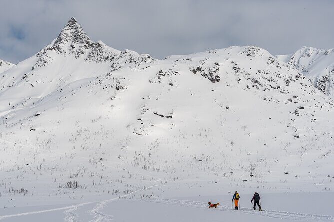 Tromsø: Arctic Snowshoeing Experience - What happens during the 5-hour snowshoe outing